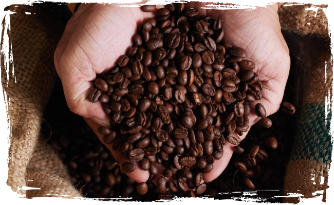 Arabica Coffee